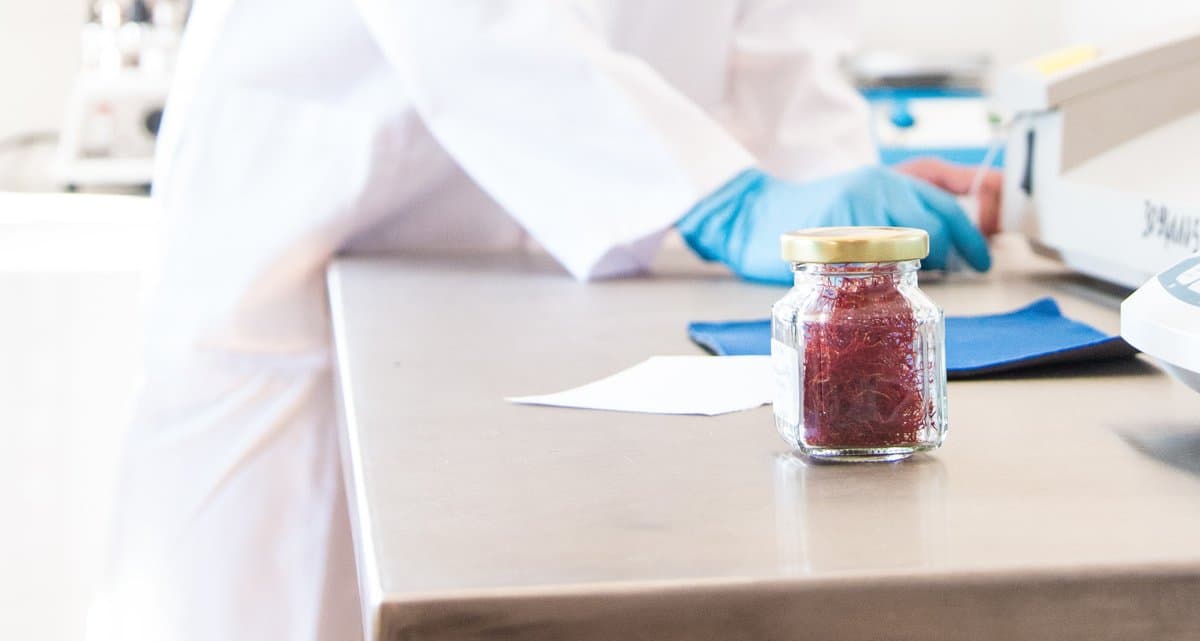 Inside a Moroccan Saffron Cooperative: Fair Trade & Women’s Empowerment